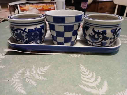 Photo of free Ceramic pots with tray (Woburn south) #1