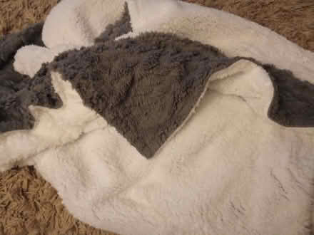 Photo of free Blanket (Willesborough) #1