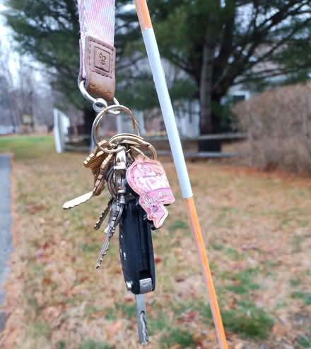 Photo of free Keys - yours? (North Chelmsford) #1