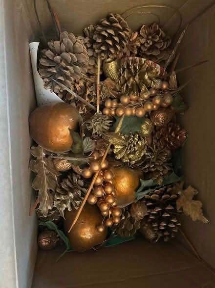 Photo of free Pinecones and copper dipped decor (South wheaton) #1