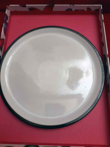 Photo of free Single Denby dinner plate (Nelson BB9) #1