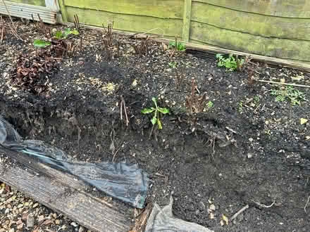 Photo of free Fertile soil (RG21 Brookvale, Basingstoke) #3