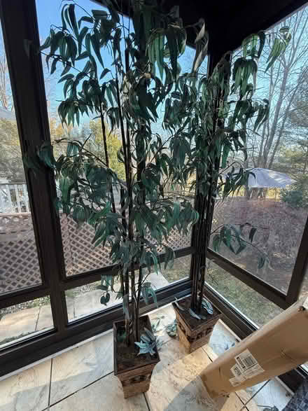 Photo of free Fake trees (Frederick, md) #2