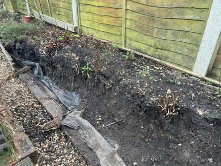 Photo of free Fertile soil (RG21 Brookvale, Basingstoke) #1