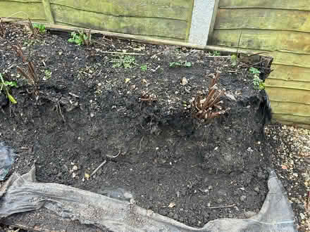 Photo of free Fertile soil (RG21 Brookvale, Basingstoke) #2