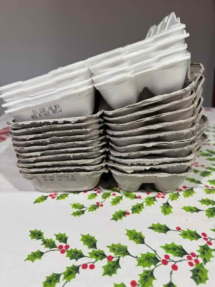 Photo of free 14 egg cartons (Swarthmore) #1