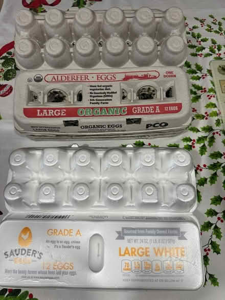 Photo of free 14 egg cartons (Swarthmore) #2