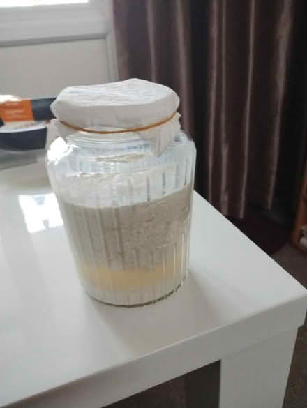 Photo of free Milk KEFIR GRAINS (norwich) #1