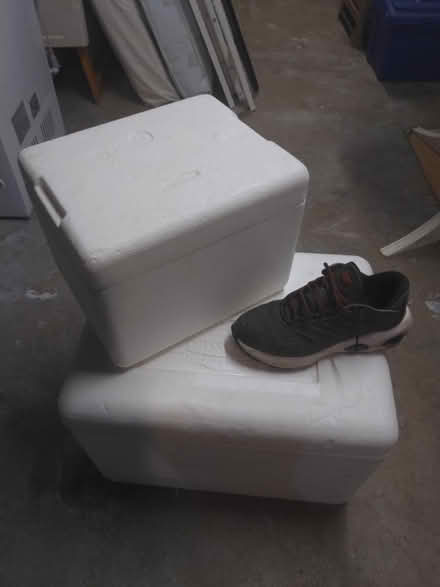 Photo of free Large styrofoam boxes (Payson Park, Belmont) #1