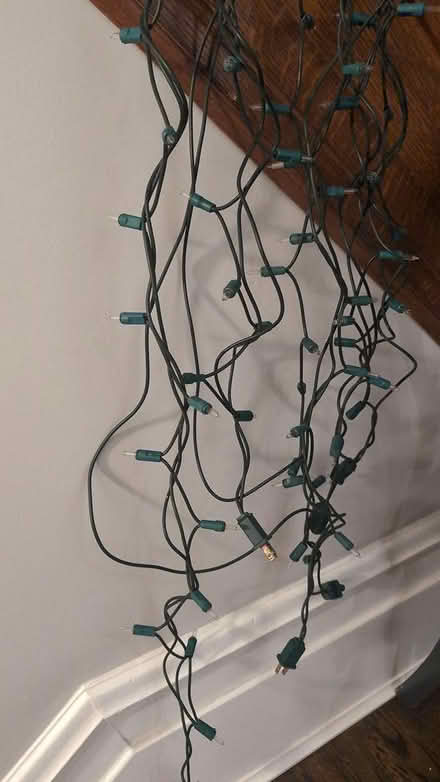 Photo of free 1200 Xmas lights (Linden Terrace) #1