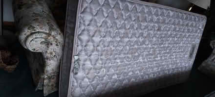 Photo of free 1 excellent single mattress (Penngrove) #1