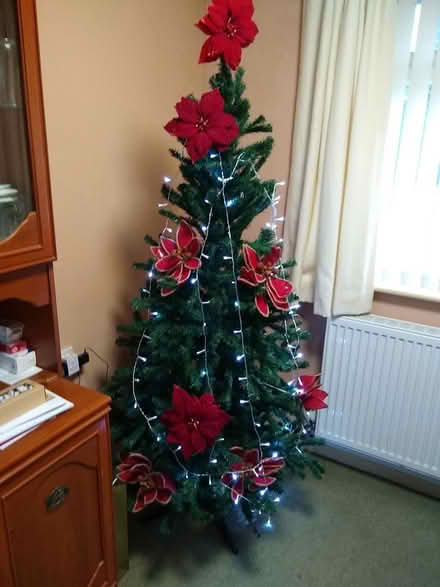 Photo of free Christmas Tree (St Austell) #1