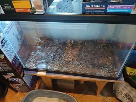 Photo of free aquarium (Cambridge) #1