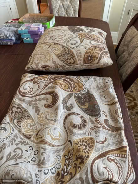 Photo of free Paisley throw pillow covers (St. Paul Mac groveland) #2