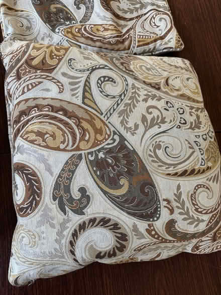 Photo of free Paisley throw pillow covers (St. Paul Mac groveland) #1