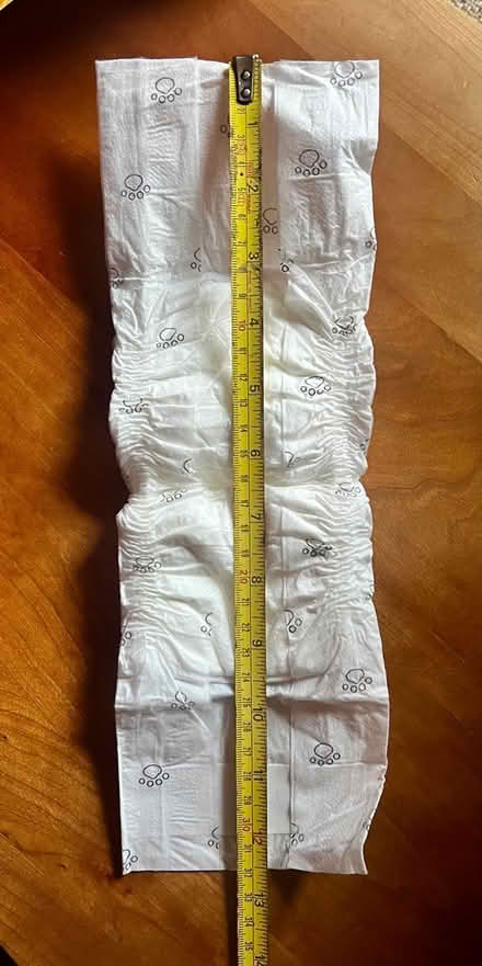 Photo of free Male Dog Wraps, XS (Wedgwood) #2