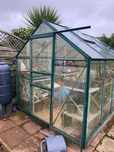 Photo of free Greenhouse (Preston, paignton) #2