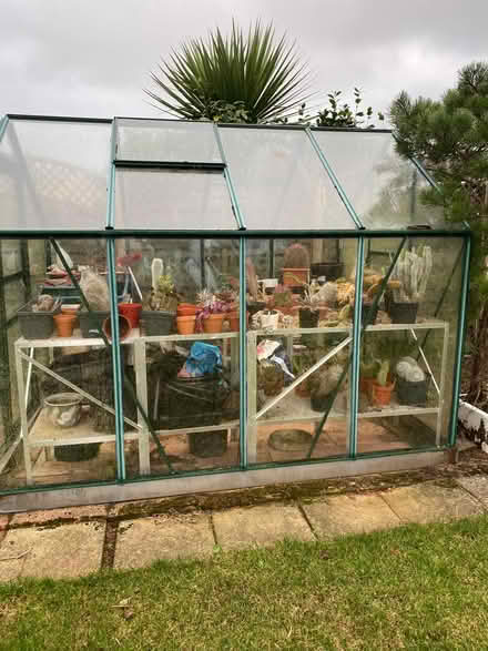 Photo of free Greenhouse (Preston, paignton) #1