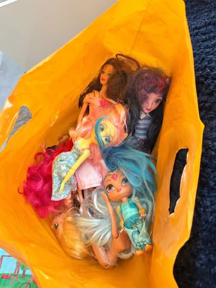 Photo of free Toy Dolls (Whitelea NE23) #1