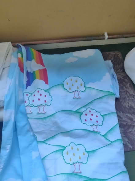 Photo of free Single quilt cover (Streetly B74) #1