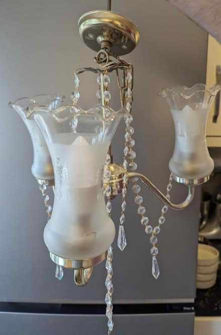 Photo of free Light fitting / chandelier (Sutton) #3