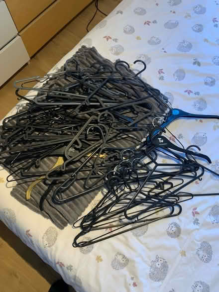 Photo of free Miscellaneous Clothes Hangers (Laughton Common, S25) #1