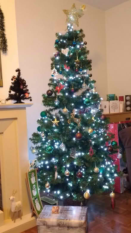 Photo of free Xmas tree (Bridport) #1