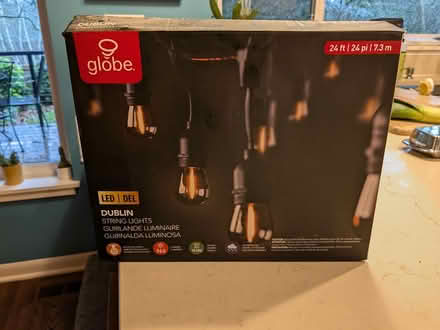 Photo of free Bulbs for string lights (NE Sreattle) #1