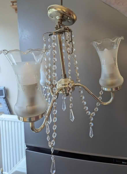 Photo of free Light fitting / chandelier (Sutton) #2