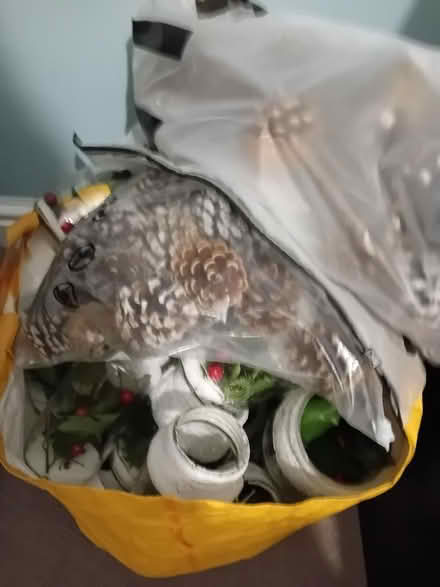 Photo of free Huge bag of natural & frosted pinecones (Saint Andrew Auckland DL14) #1