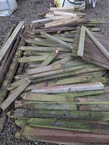 Photo of free Picket fence timber (Leominster HR6) #1