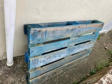 Photo of free Blue Wooden Pallet (Bognor Regis PO21) #1