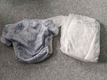 Photo of free Pamper Pure Hybrid Reusable Diaper (21146) #1