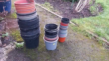 Photo of free Plastic plantpots (Chapel Allerton LS7) #1