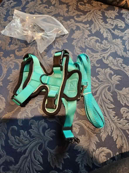 Photo of free Small dog (or cat) harness & leash (Capitol Hill, DC) #1