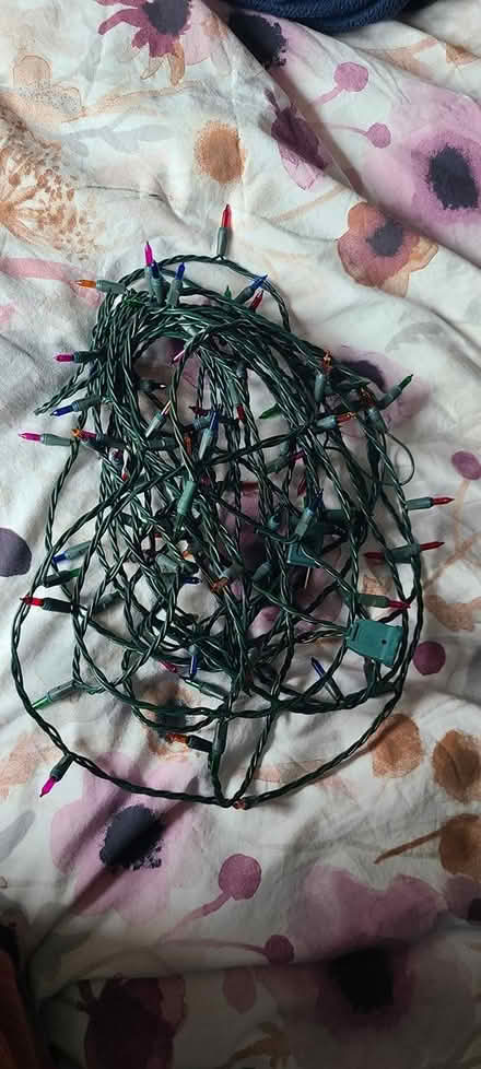 Photo of free Mini Christmas lights (Mavis and burnhamthorpe) #1