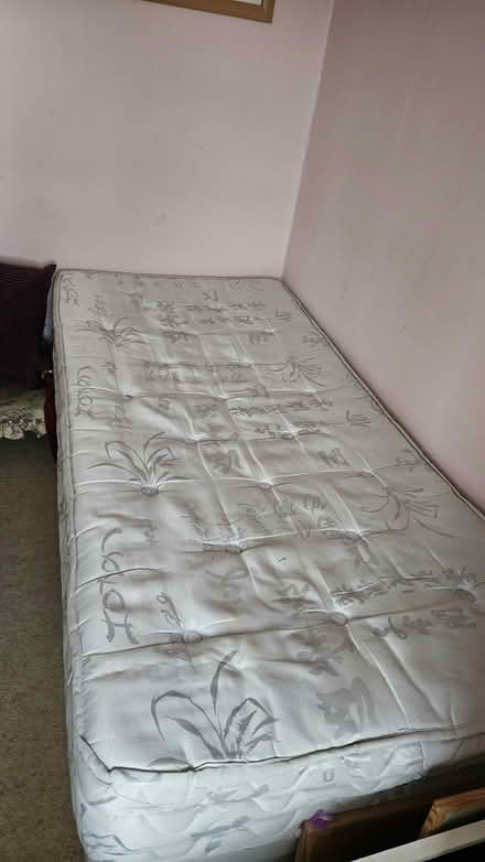 Photo of free Single Divan bed (Collingham Leeds LS22) #1