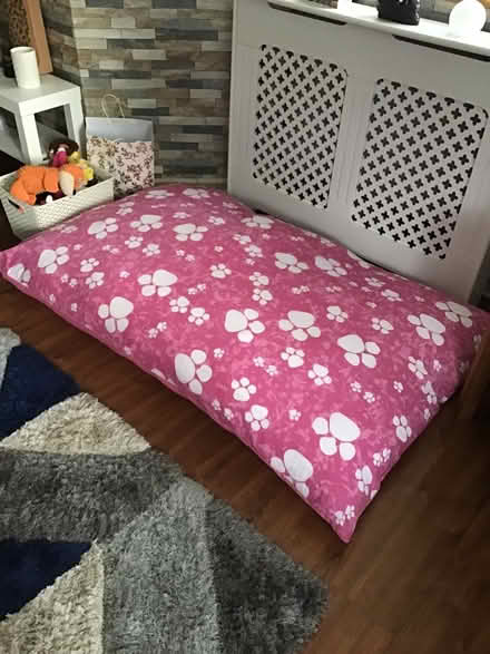 Photo of free Large dog/cat bed (Bedfont) #1