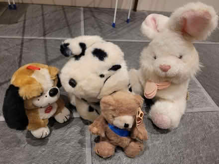 Photo of free Cuddly toys x 4 (Shenley Fields B29) #1