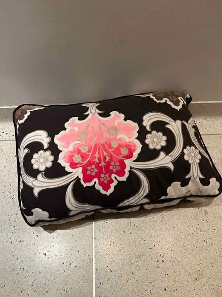 Photo of free Floor cushion/ pillow (Fulham) #1