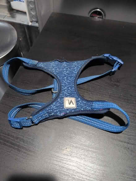 Photo of free Dog harness (Brentwood) #1