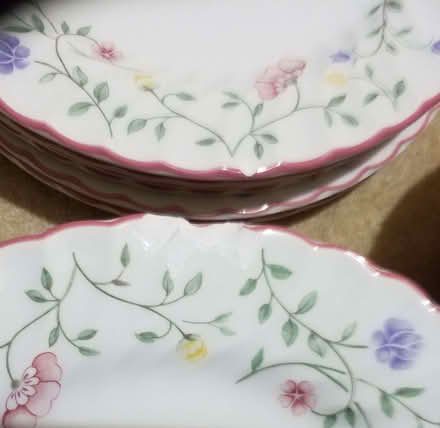 Photo of free Plates and bowls (Hordle SO41) #2