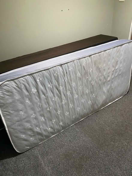 Photo of free Single bed and mattress (College Gardens CW3) #1