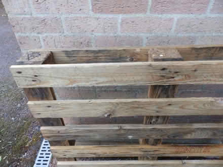 Photo of free Pallet (Stowmarket (Stowmarket (IP14)) #2