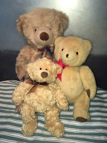 Photo of free Teddy bear family want new home for Christmas (Hyde Heath HP6) #1