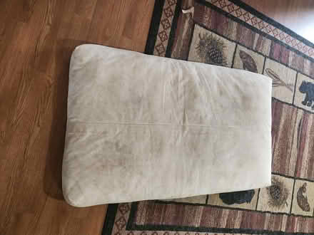 Photo of free Futon crib mattress for dogs (virgil) #1