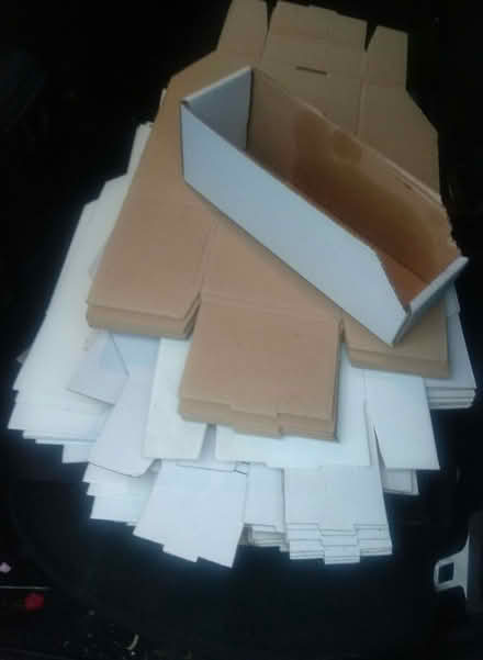 Photo of free Small storage 'bins', some cardboard, some polypropylene (Hollingbury BN1) #1