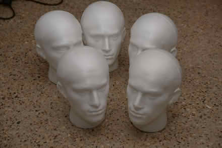 Photo of free Polystyrene Heads (Southgate N14) #1