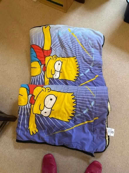 Photo of free Kids Bed cover (Bathwick) #1