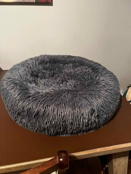 Photo of free Brand new cat bed (basingstoke) #2